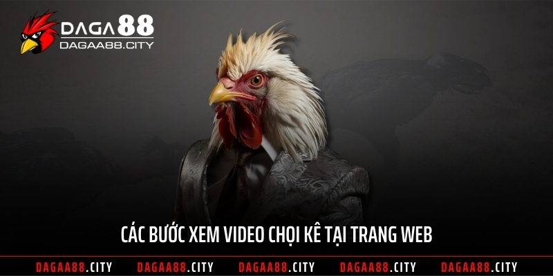 Các bước xem video chọi kê tại trang web