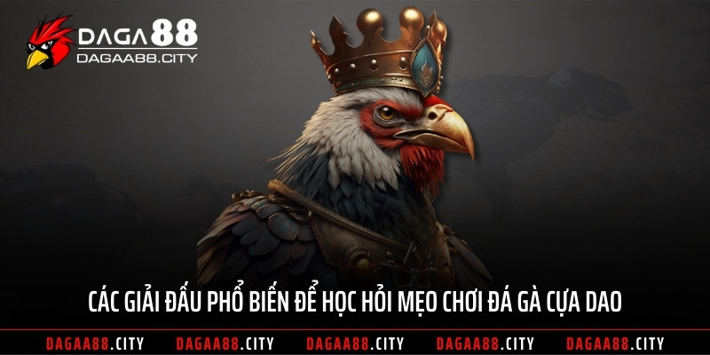 Các giải đấu phổ biến để học hỏi mẹo chơi đá gà cựa dao