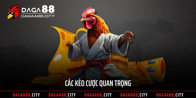 Các kèo cược quan trọng