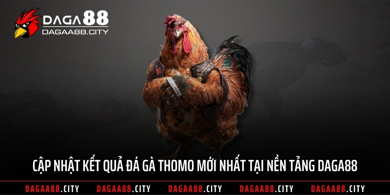 Cập Nhật Kết Quả Đá Gà Thomo Mới Nhất Tại Nền Tảng DAGA88