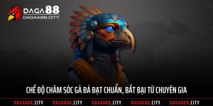 Chế Độ Chăm Sóc Gà Đá Đạt Chuẩn, Bất Bại Từ Chuyên Gia