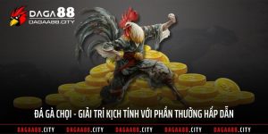 Đá Gà Chọi - Giải Trí Kịch Tính Với Phần Thưởng Hấp Dẫn