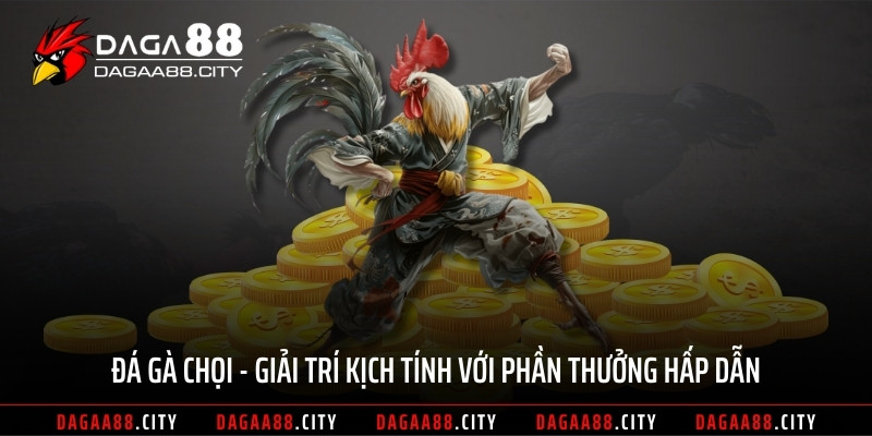 Đá Gà Chọi - Giải Trí Kịch Tính Với Phần Thưởng Hấp Dẫn
