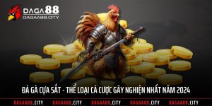 Đá Gà Cựa Sắt – Thể Loại Cá Cược Gây Nghiện Nhất Năm 2024