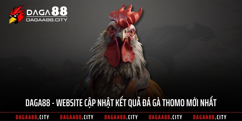 DAGA88 - Website cập nhật kết quả đá gà Thomo mới nhất