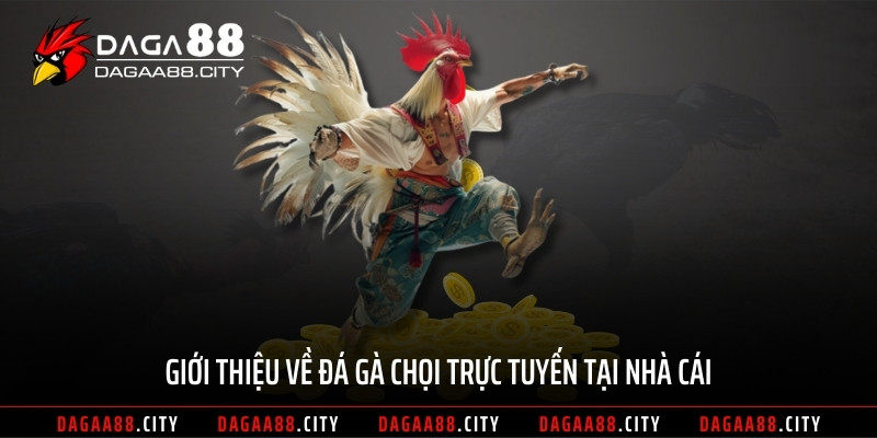 Giới thiệu về đá gà chọi trực tuyến tại nhà cái