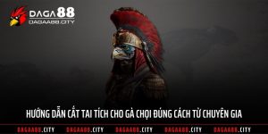 Hướng Dẫn Cắt Tai Tích Cho Gà Chọi Đúng Cách Từ Chuyên Gia