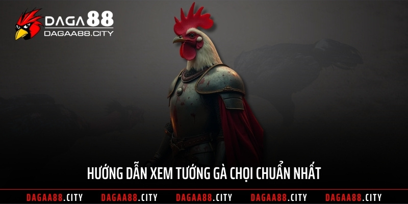 Hướng dẫn xem tướng gà chọi chuẩn nhất