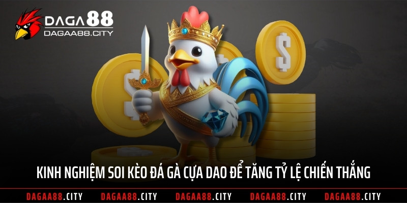 Kinh nghiệm soi kèo đá gà cựa dao để tăng tỷ lệ chiến thắng