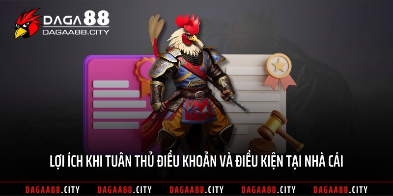 Lợi ích khi tuân thủ điều khoản và điều kiện tại nhà cái
