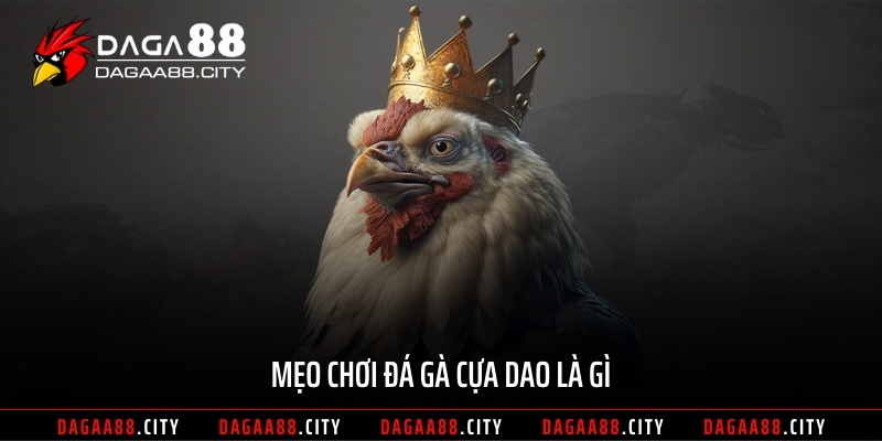 Mẹo chơi đá gà cựa dao là gì
