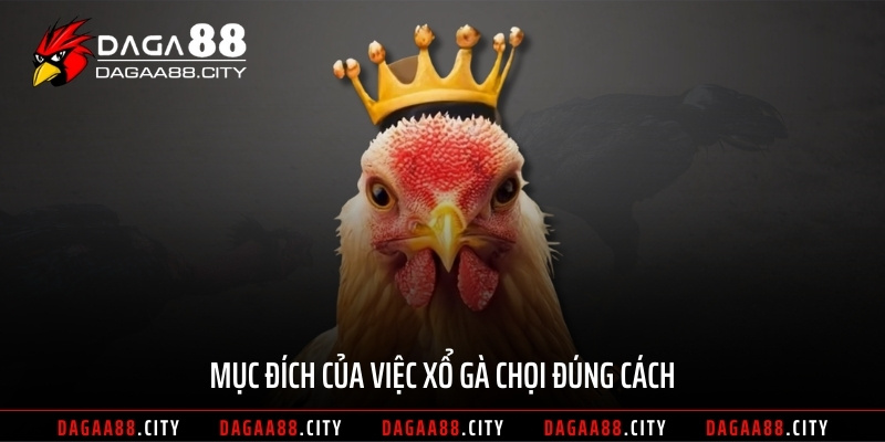Mục đích của việc xổ gà chọi đúng cách