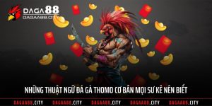 Những Thuật Ngữ Đá Gà Thomo Cơ Bản Mọi Sư Kê Nên Biết
