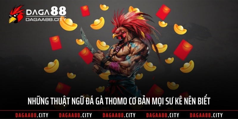 Những Thuật Ngữ Đá Gà Thomo Cơ Bản Mọi Sư Kê Nên Biết