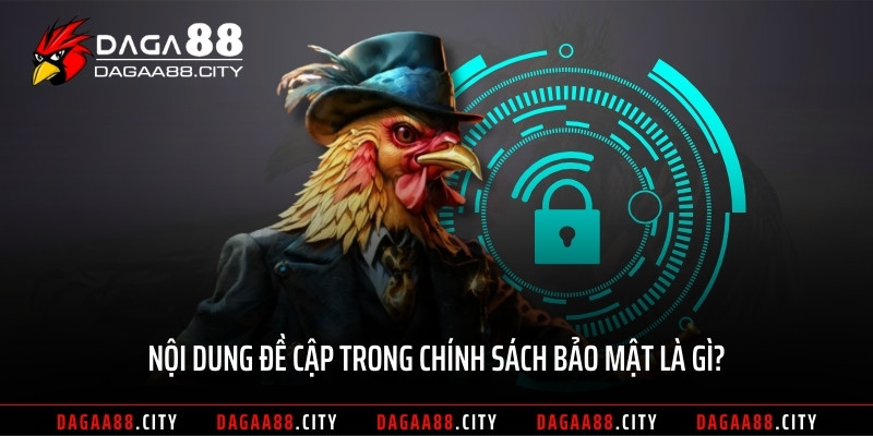 Nội dung đề cập trong chính sách bảo mật là gì?