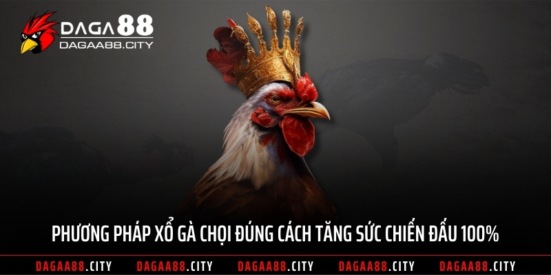 Phương pháp xổ gà chọi đúng cách tăng sức chiến đấu 100%