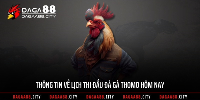 Thông tin về lịch thi đấu đá gà Thomo hôm nay