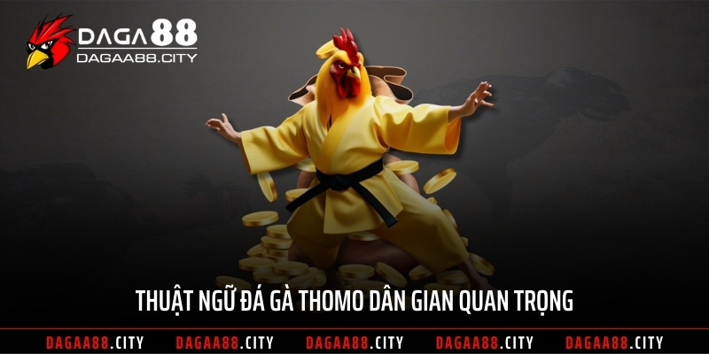 Thuật ngữ đá gà thomo dân gian quan trọng