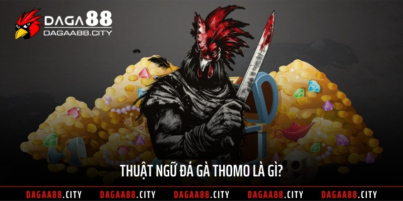 Thuật ngữ đá gà thomo là gì?