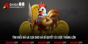 Tìm Hiểu Đá Gà Cựa Dao Và Bí Quyết Cá Cược Thắng Lớn