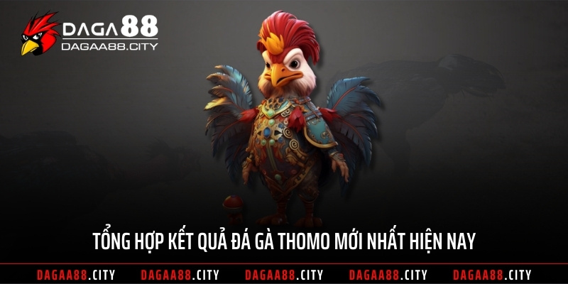 Tổng hợp kết quả đá gà Thomo mới nhất hiện nay