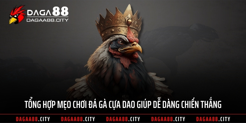 Tổng hợp mẹo chơi đá gà cựa dao giúp dễ dàng chiến thắng
