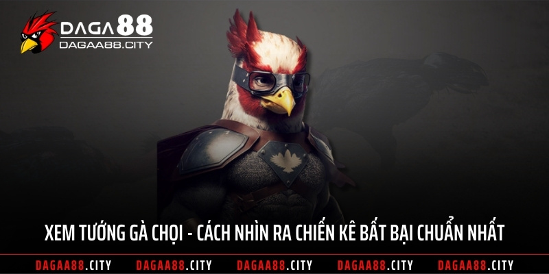 Xem Tướng Gà Chọi – Cách Nhìn Ra Chiến Kê Bất Bại Chuẩn Nhất