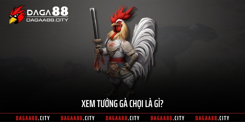 Xem tướng gà chọi là gì?
