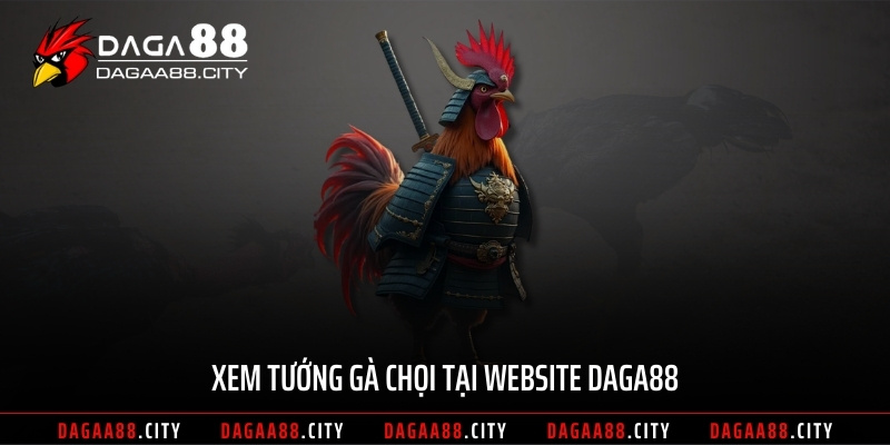 Xem tướng gà chọi tại website DAGA88