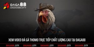 Xem Video Đá Gà Thomo Trực Tiếp Chất Lượng Cao Tại DAGA88