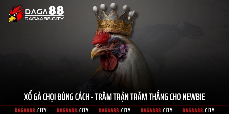 Xổ Gà Chọi Đúng Cách – Trăm Trận Trăm Thắng Cho Newbie