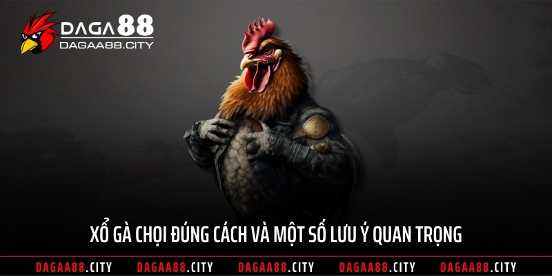 Xổ gà chọi đúng cách và một số lưu ý quan trọng