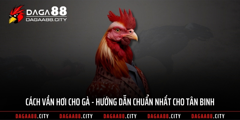 Cách Vần Hơi Cho Gà – Hướng Dẫn Chuẩn Nhất Cho Tân Binh