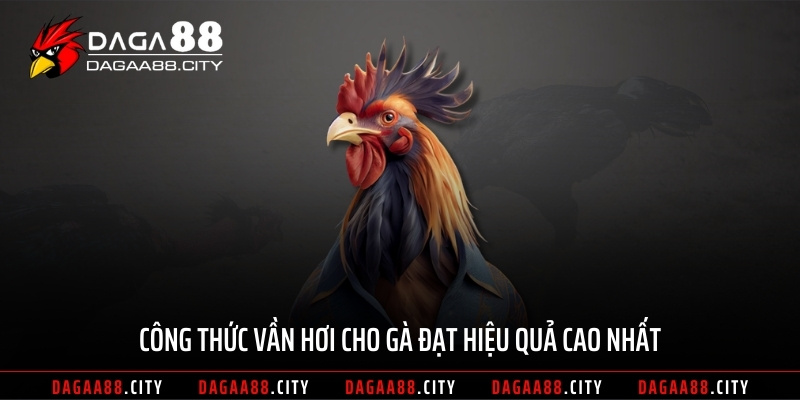Công thức vần hơi cho gà đạt hiệu quả cao nhất