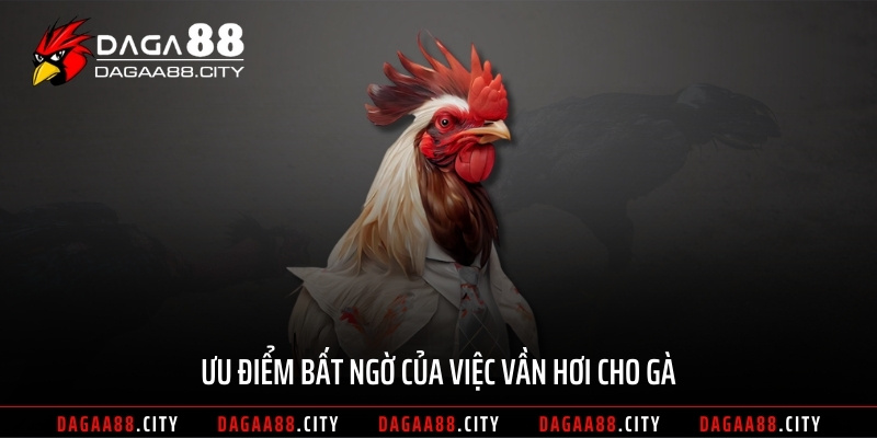 Ưu điểm bất ngờ của việc vần hơi cho gà