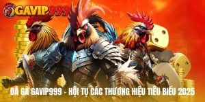 đá gà gavip999
