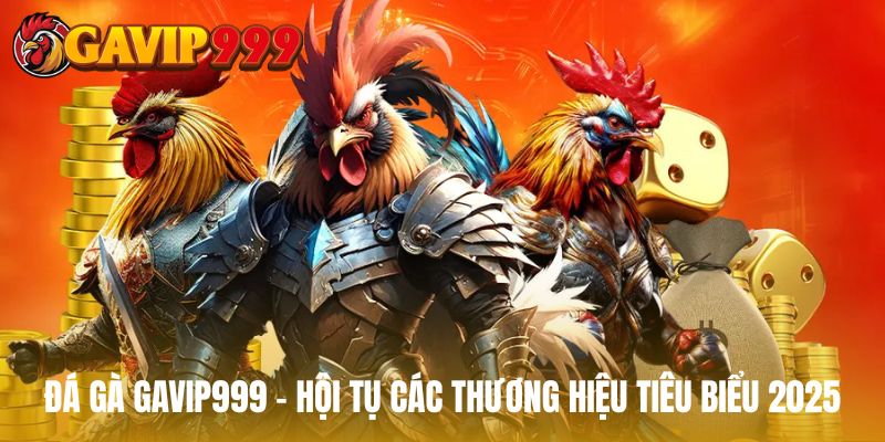 đá gà gavip999